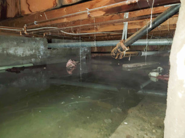 Best 24-hour water damage restoration  in Delhi Hills, OH