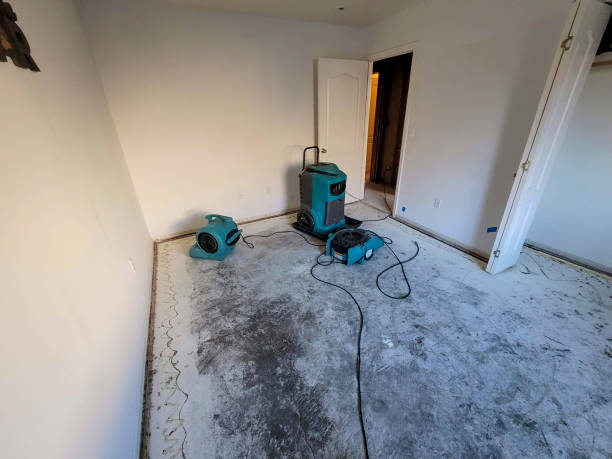 Professional Water damage restoration in Delhi Hills, OH