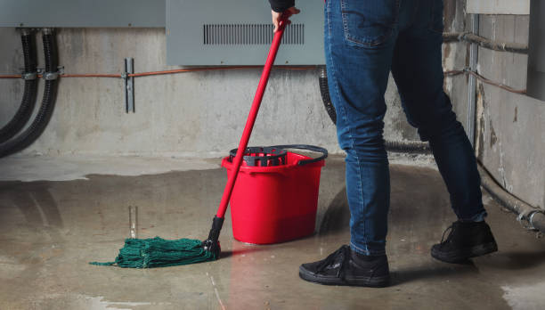 Best Residential water damage restoration  in Delhi Hills, OH