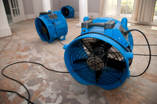 Professional Water damage restoration in Delhi Hills, OH