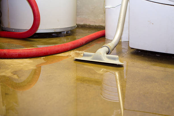 Best Water damage restoration specialists  in Delhi Hills, OH