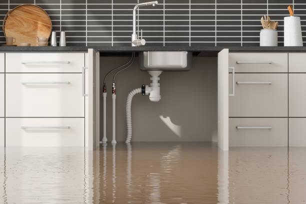 Best Water damage mitigation services  in Delhi Hills, OH