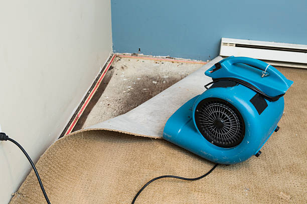 24/7 water damage repair in Delhi Hills, OH